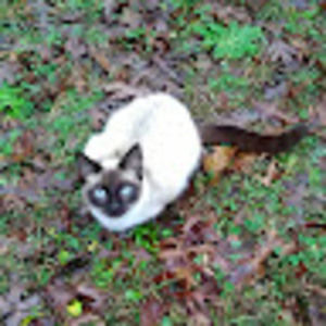 Meet your Posher, Andy